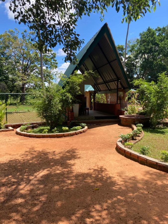The View Hotel Sigiriya Exteriér fotografie